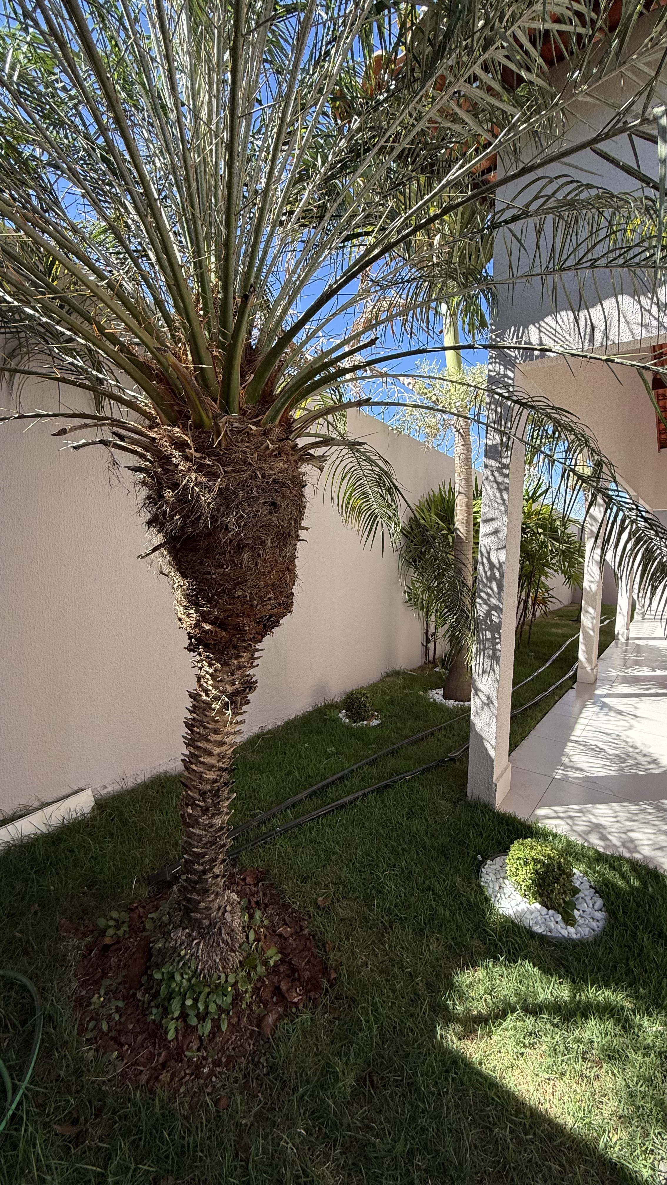 🏡 CASA IMPECÁVEL À VENDA | 3 QUARTOS | R$ 299 MIL . - foto 2
