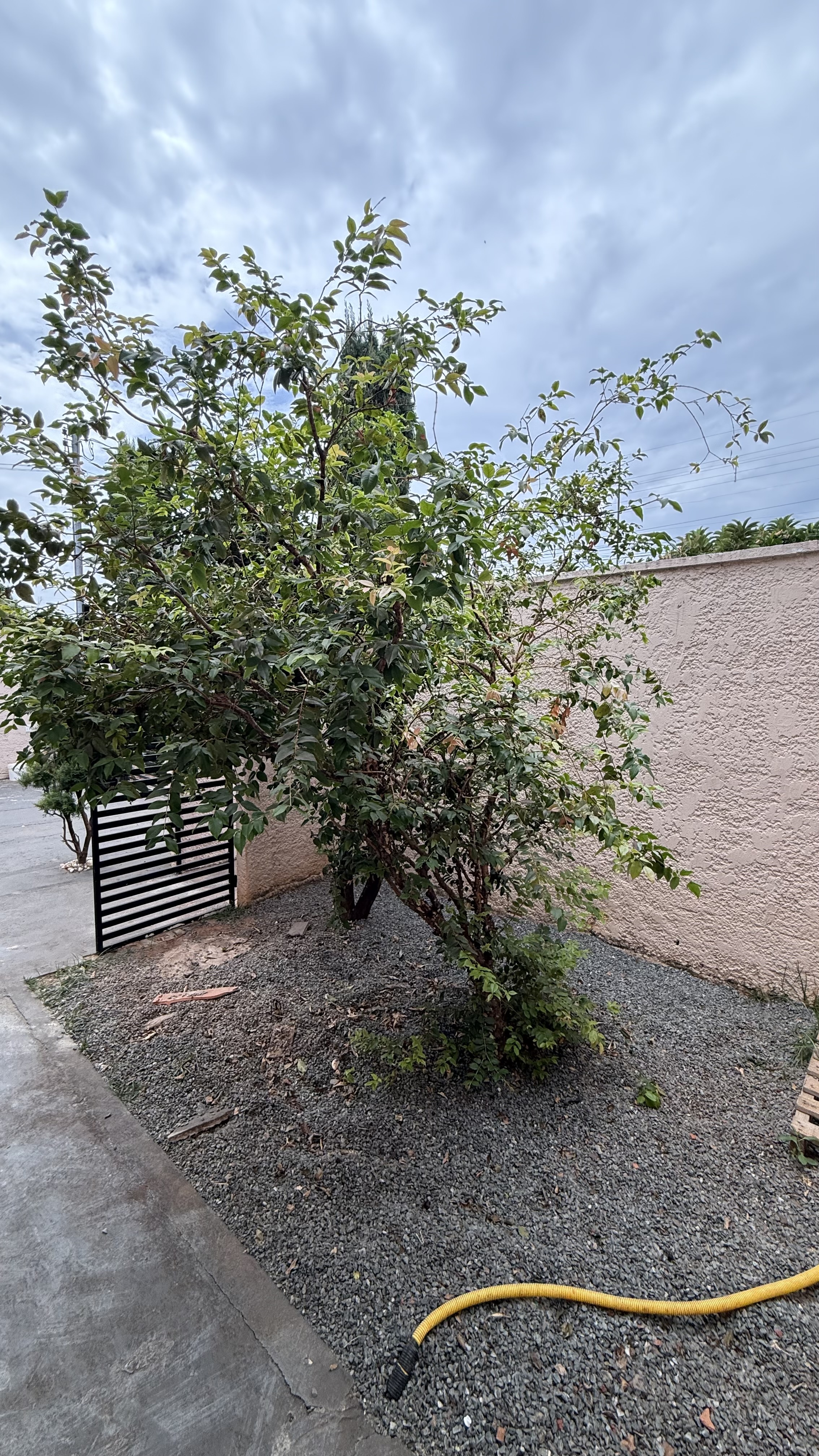 🏡 Residência Contemporânea – Estância Itanhangá I | Caldas Novas - foto 12