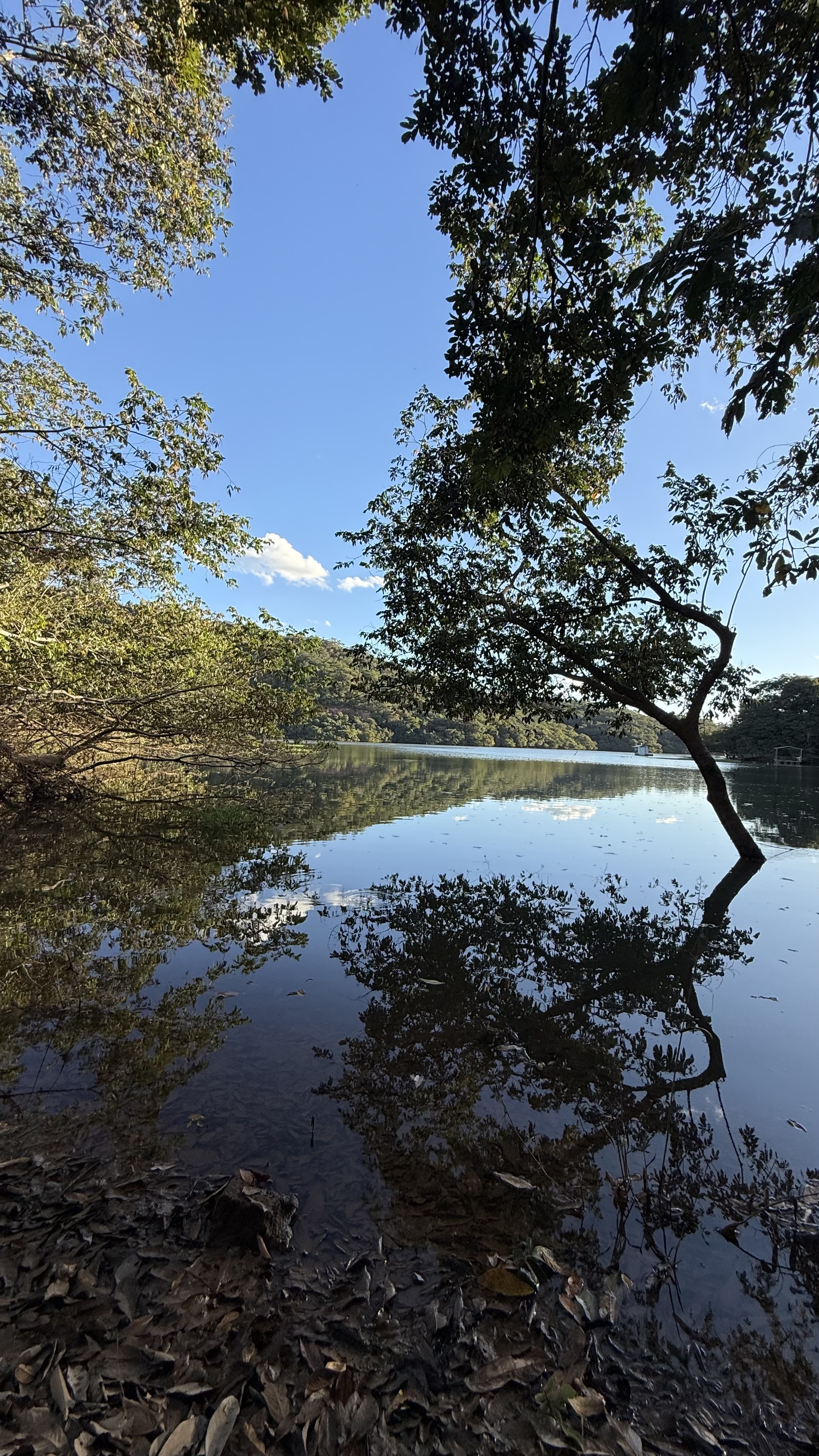 OPORTUNIDADE RARÍSSIMA ÀS MARGENS DO LAGO CORUMBÁ 🌿