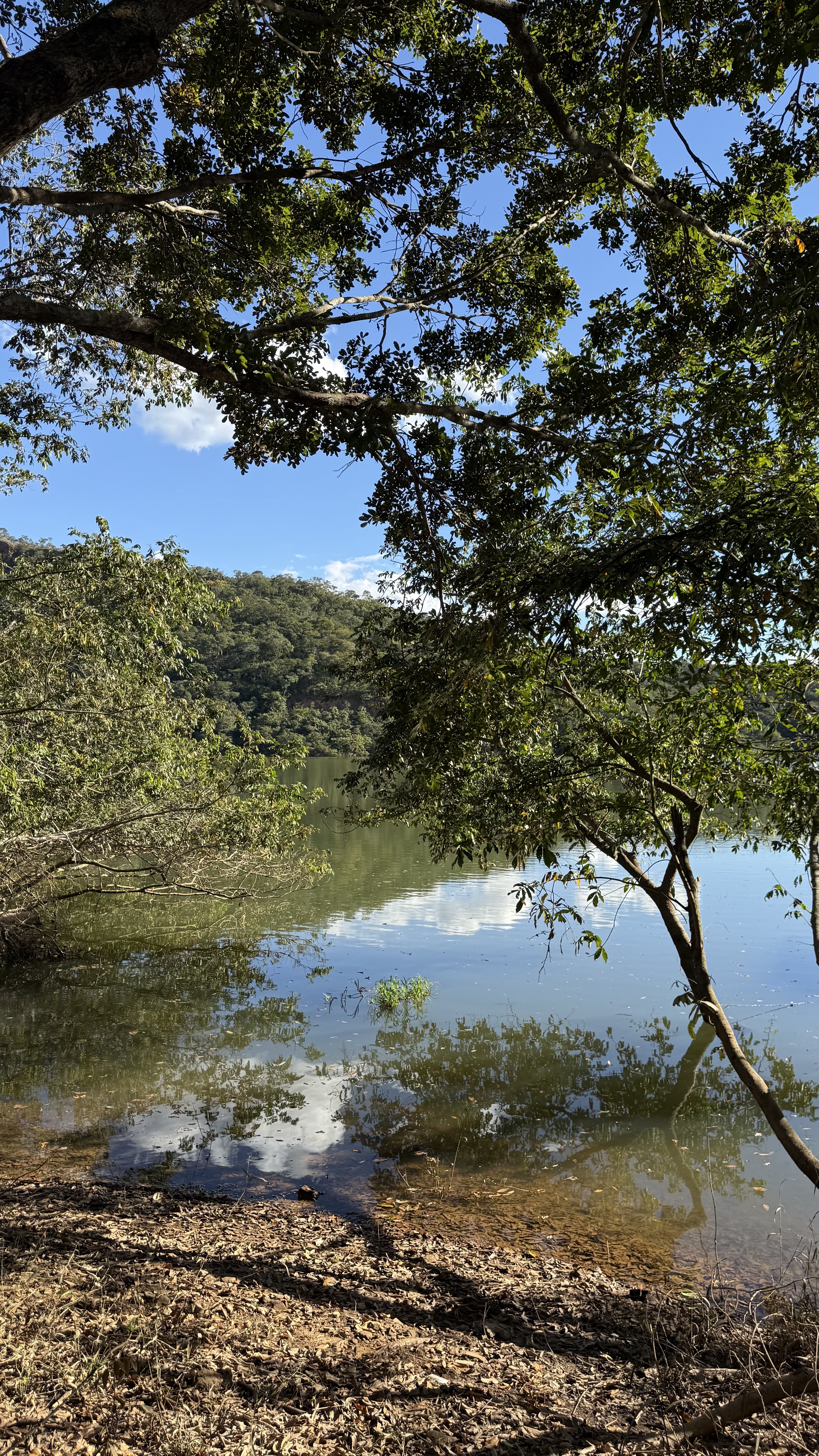 OPORTUNIDADE RARÍSSIMA ÀS MARGENS DO LAGO CORUMBÁ 🌿 - foto 3