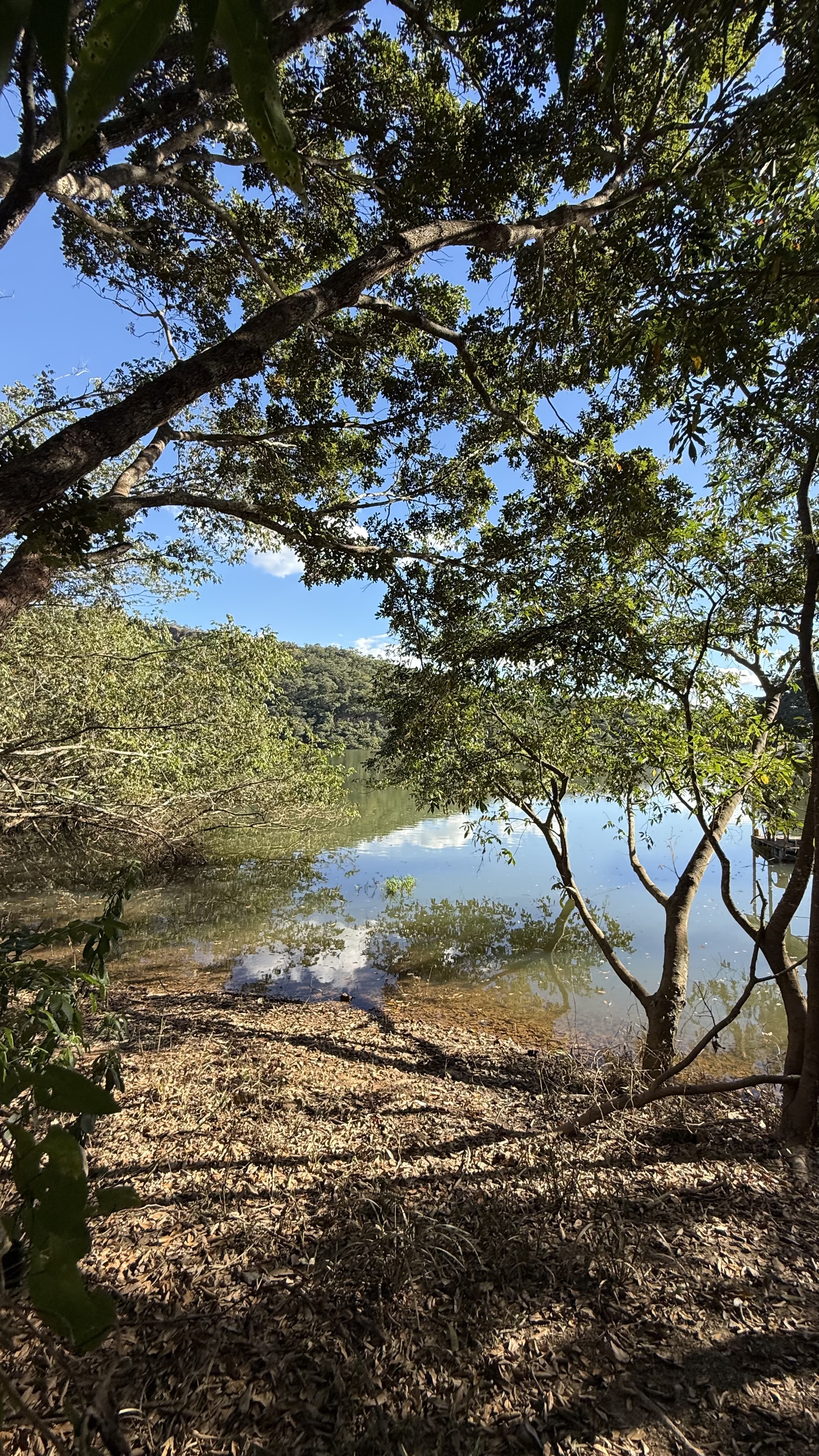 OPORTUNIDADE RARÍSSIMA ÀS MARGENS DO LAGO CORUMBÁ 🌿 - foto 4