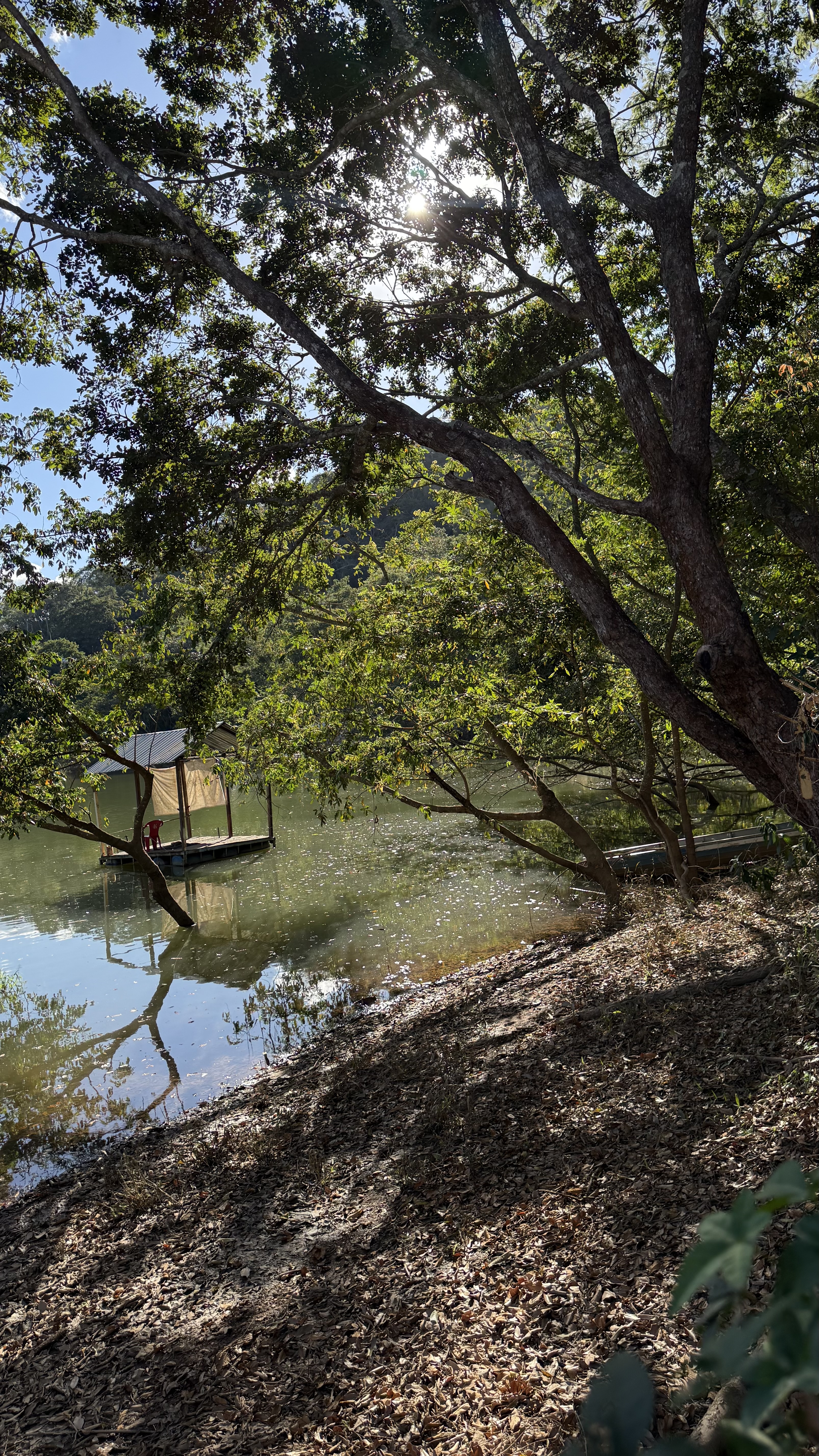 OPORTUNIDADE RARÍSSIMA ÀS MARGENS DO LAGO CORUMBÁ 🌿 - foto 5