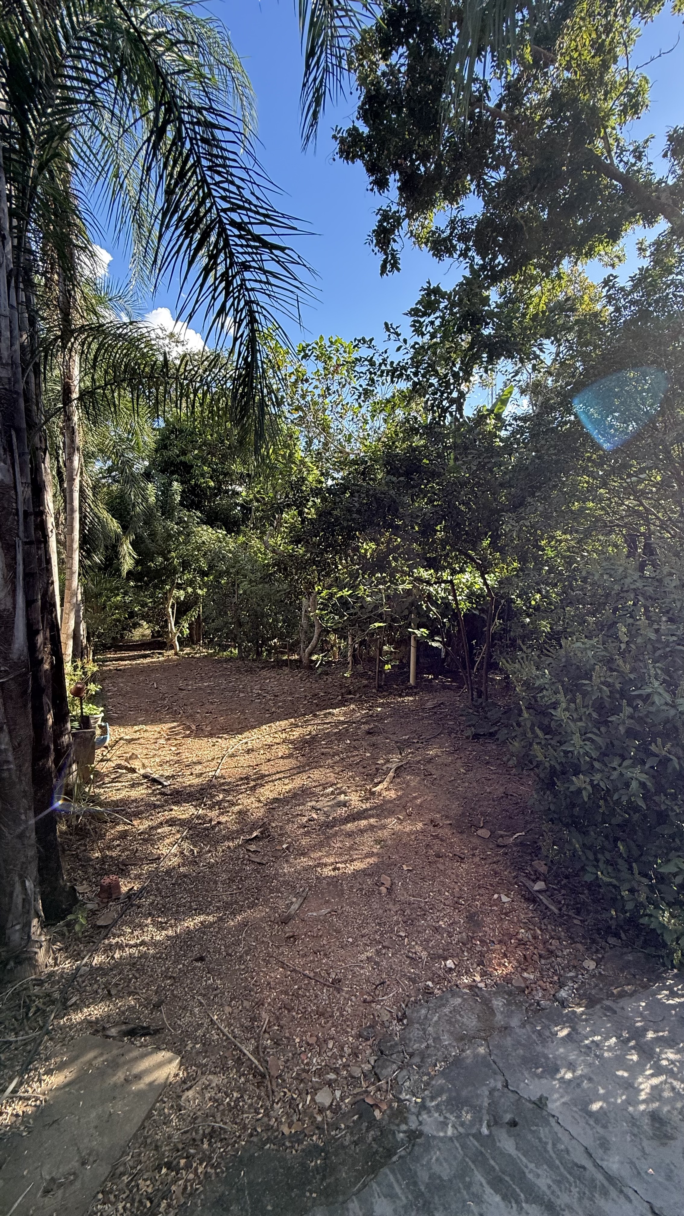 OPORTUNIDADE RARÍSSIMA ÀS MARGENS DO LAGO CORUMBÁ 🌿 - foto 31