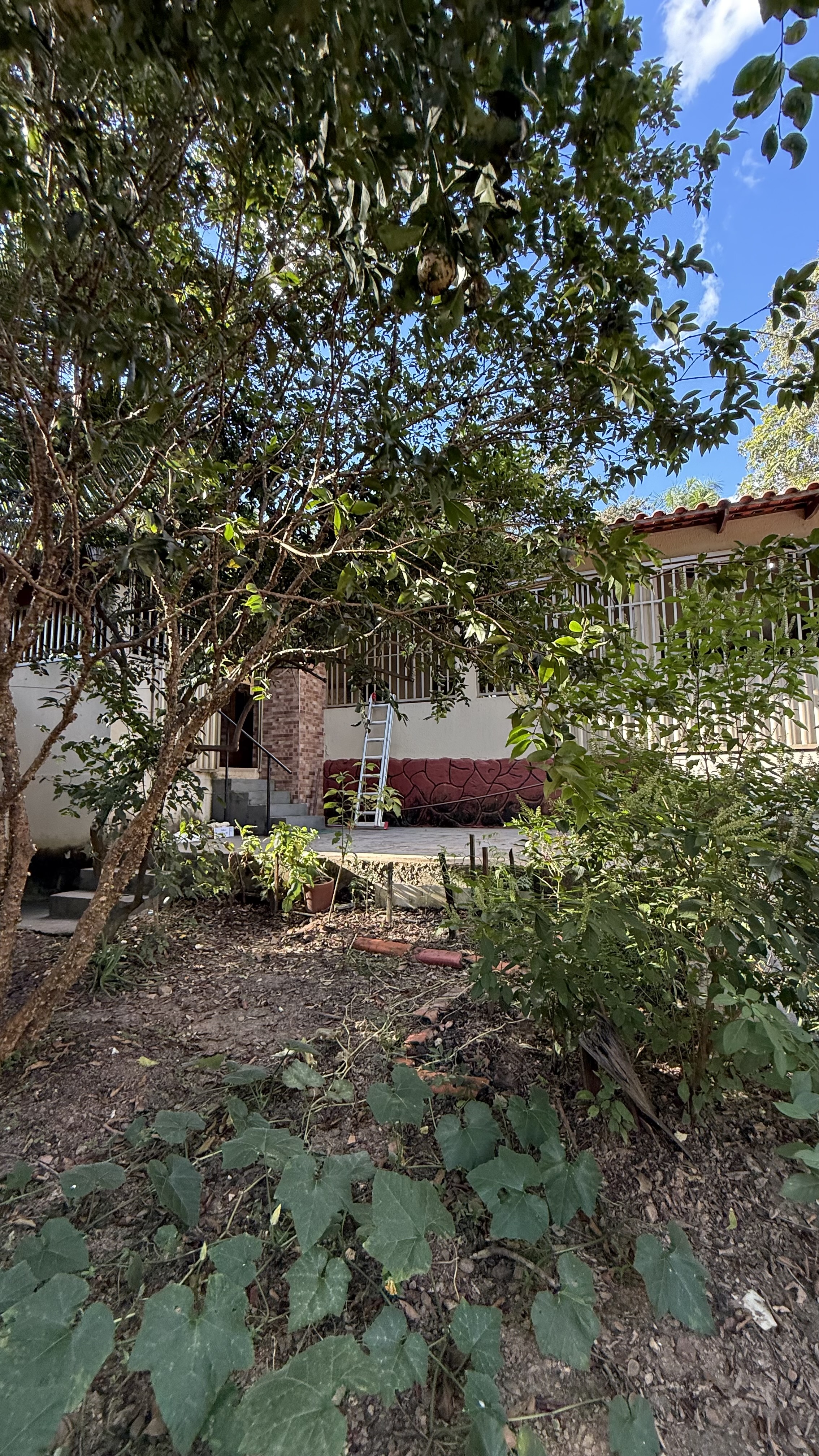 OPORTUNIDADE RARÍSSIMA ÀS MARGENS DO LAGO CORUMBÁ 🌿 - foto 35