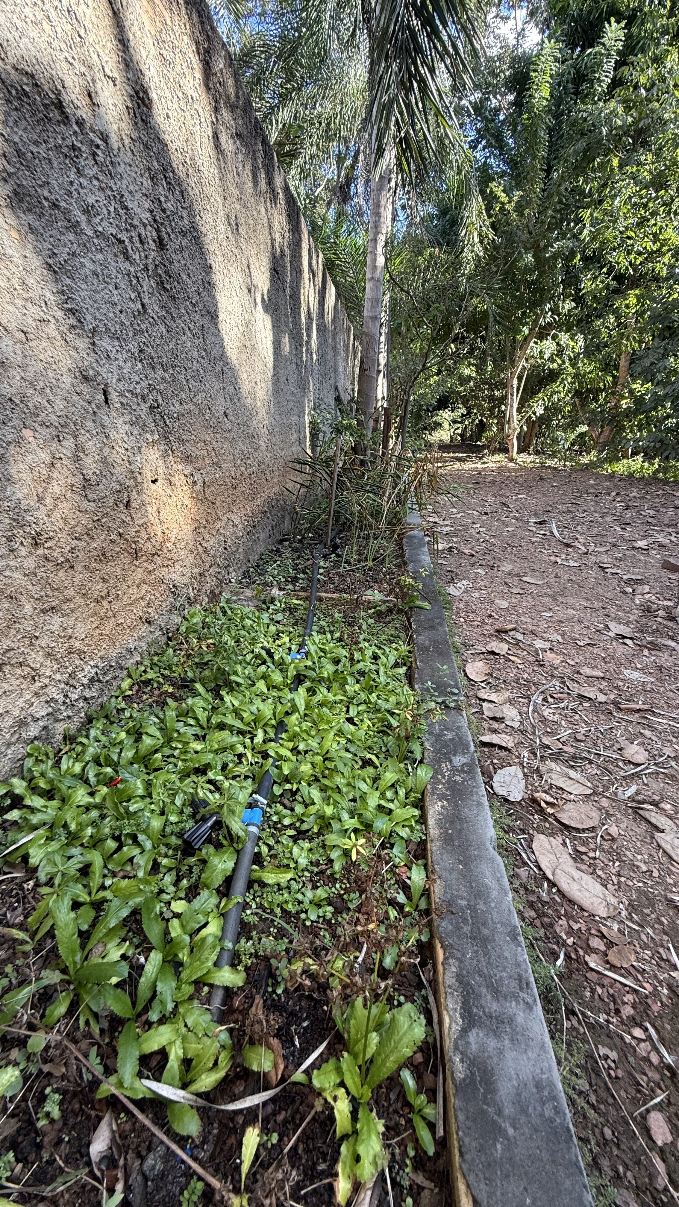 OPORTUNIDADE RARÍSSIMA ÀS MARGENS DO LAGO CORUMBÁ 🌿 - foto 37