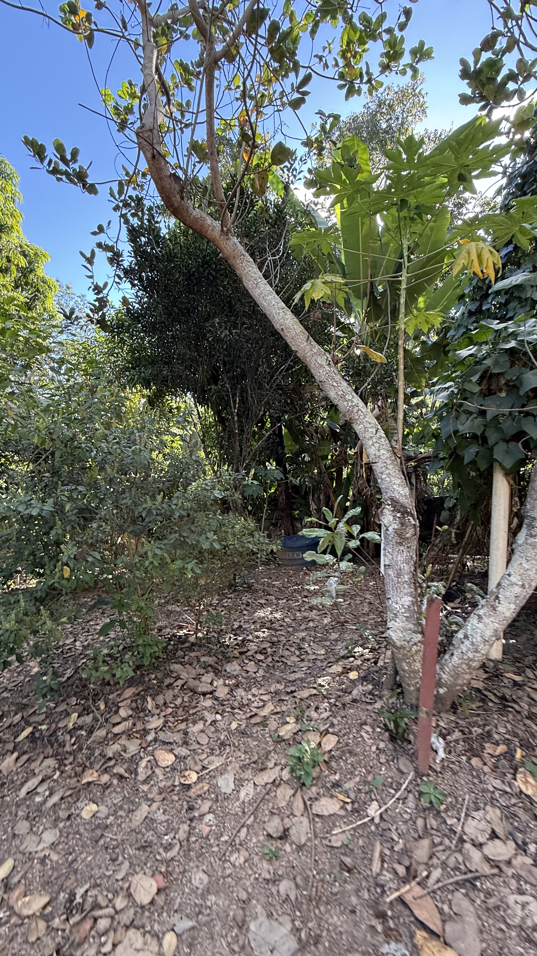OPORTUNIDADE RARÍSSIMA ÀS MARGENS DO LAGO CORUMBÁ 🌿 - foto 38