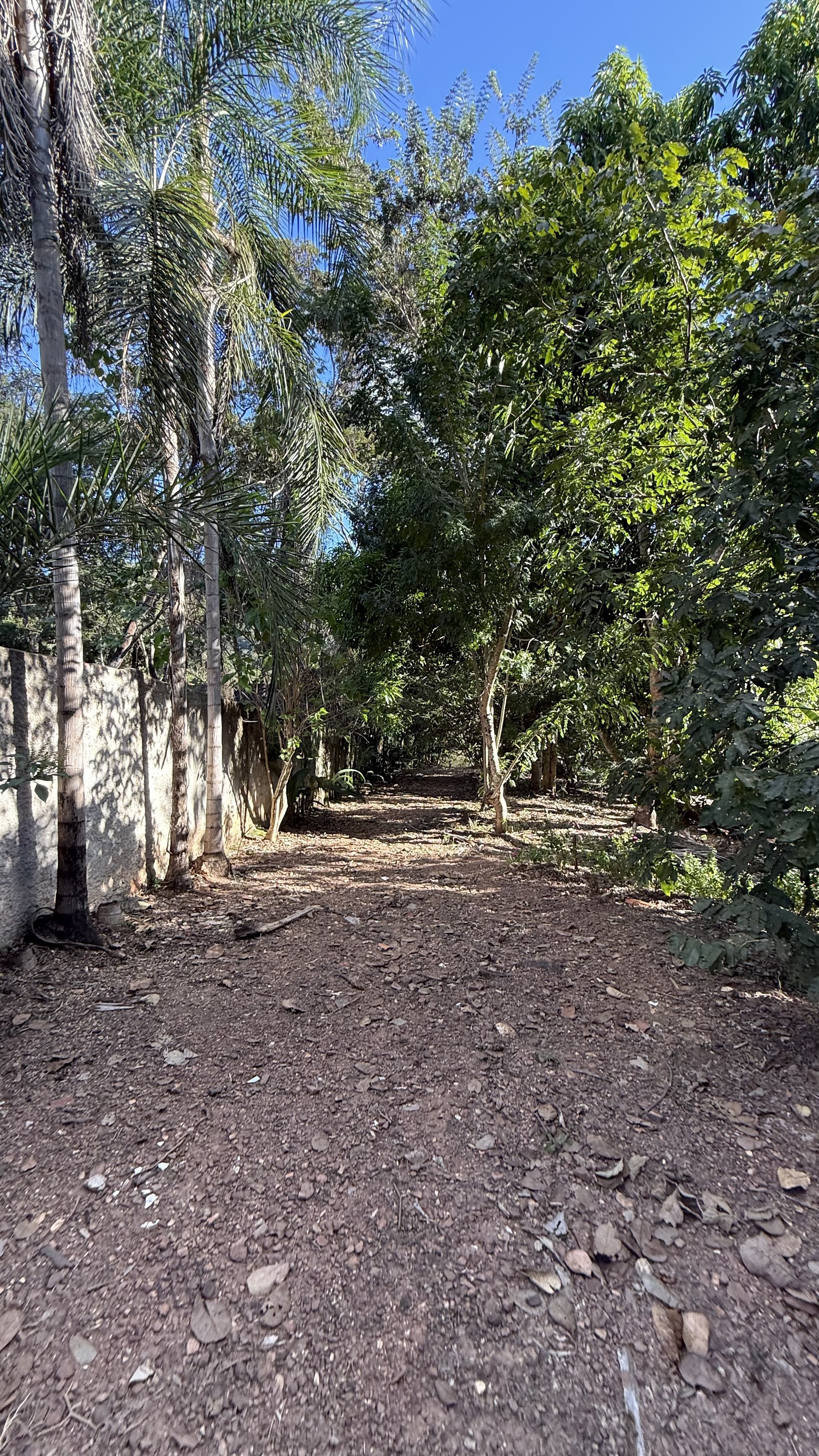 OPORTUNIDADE RARÍSSIMA ÀS MARGENS DO LAGO CORUMBÁ 🌿 - foto 39