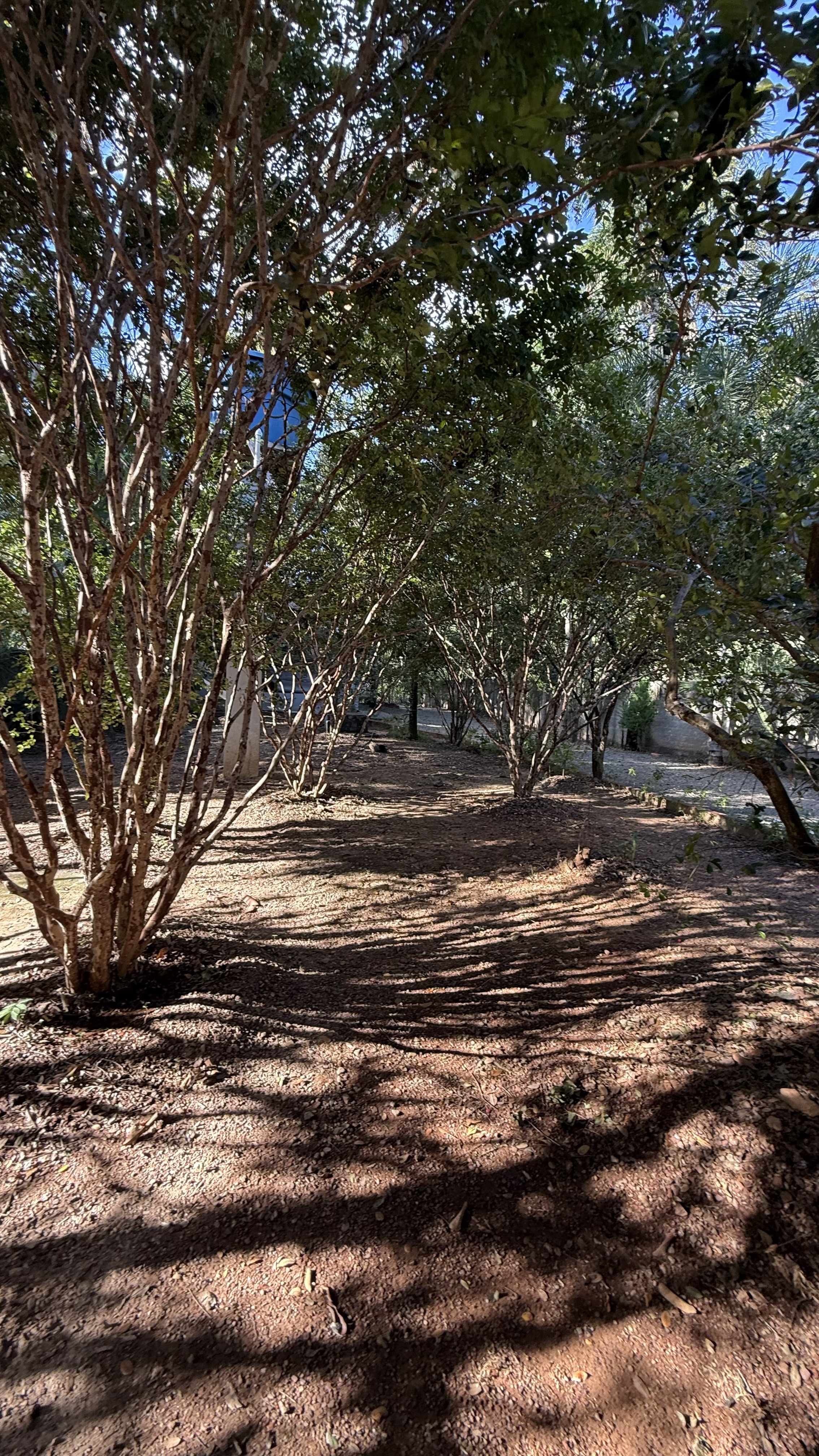 OPORTUNIDADE RARÍSSIMA ÀS MARGENS DO LAGO CORUMBÁ 🌿 - foto 42