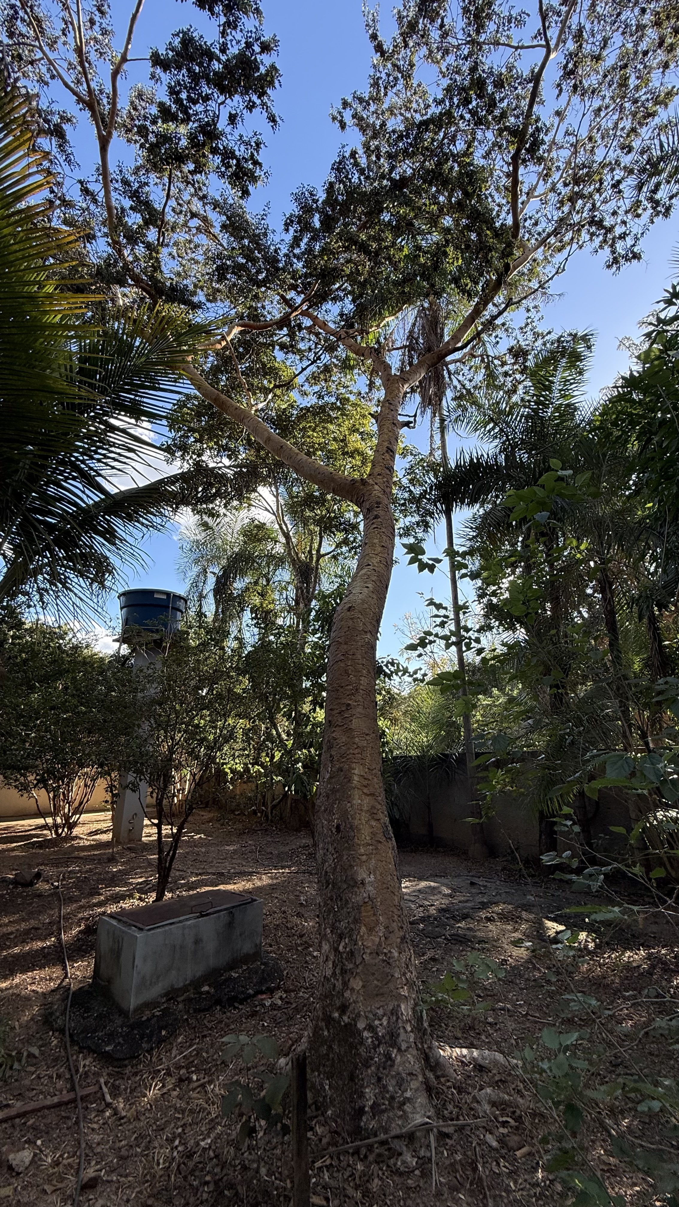 OPORTUNIDADE RARÍSSIMA ÀS MARGENS DO LAGO CORUMBÁ 🌿 - foto 48