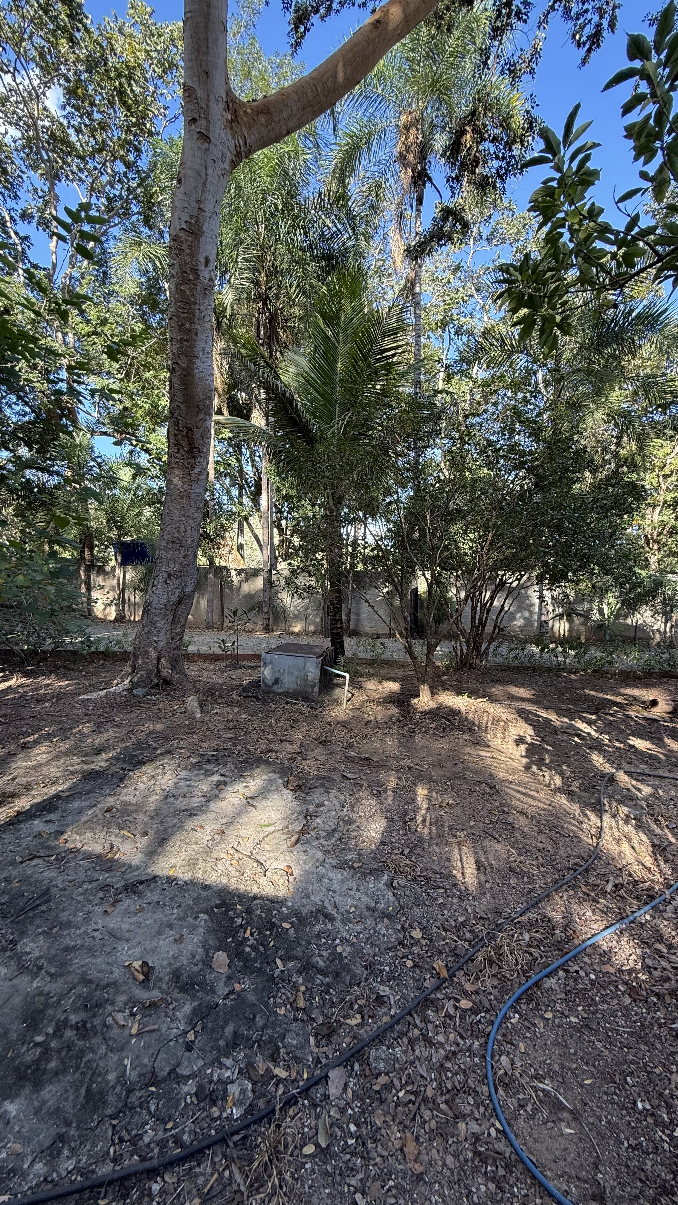 OPORTUNIDADE RARÍSSIMA ÀS MARGENS DO LAGO CORUMBÁ 🌿 - foto 49