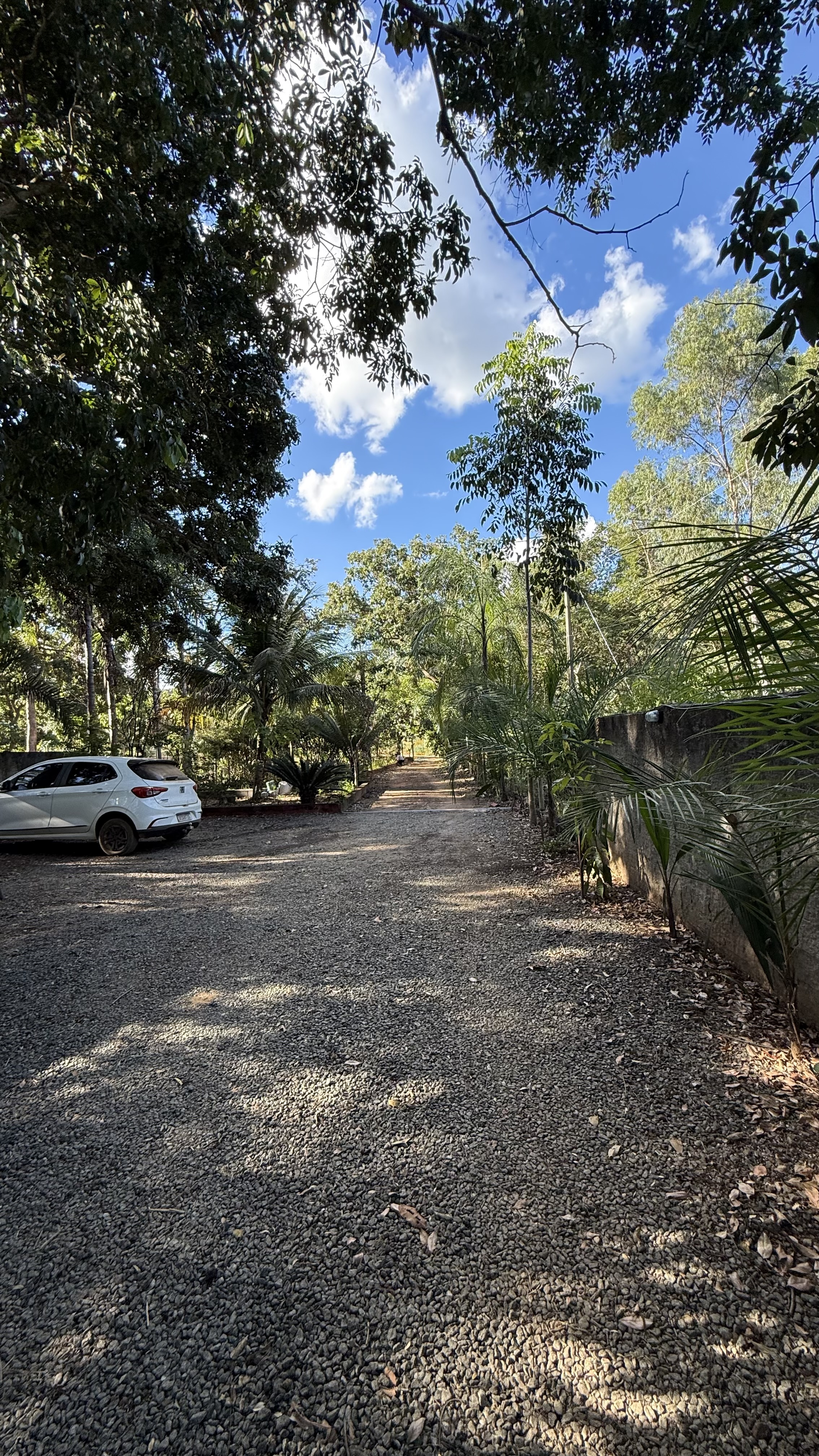 OPORTUNIDADE RARÍSSIMA ÀS MARGENS DO LAGO CORUMBÁ 🌿 - foto 51