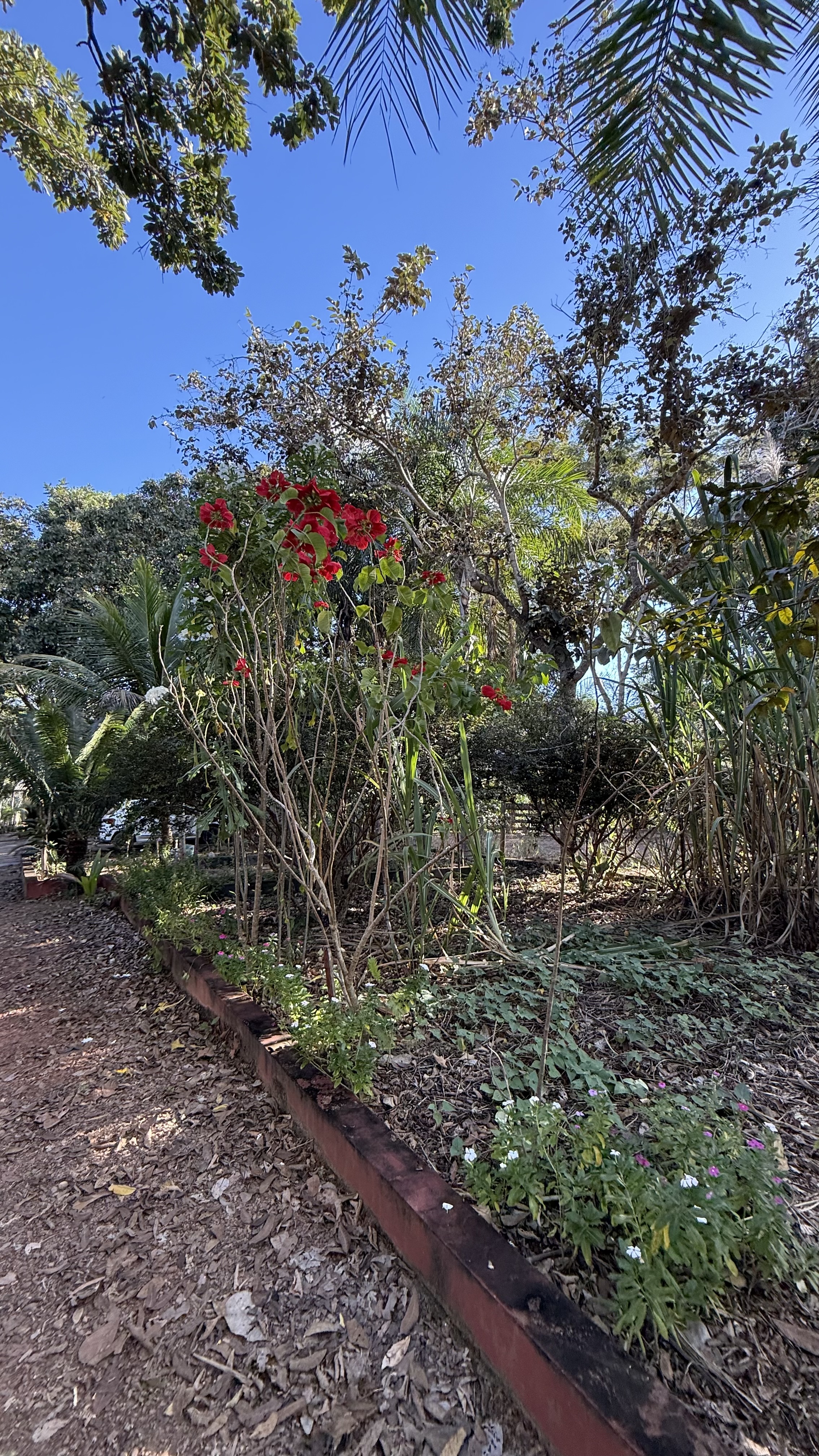 OPORTUNIDADE RARÍSSIMA ÀS MARGENS DO LAGO CORUMBÁ 🌿 - foto 56