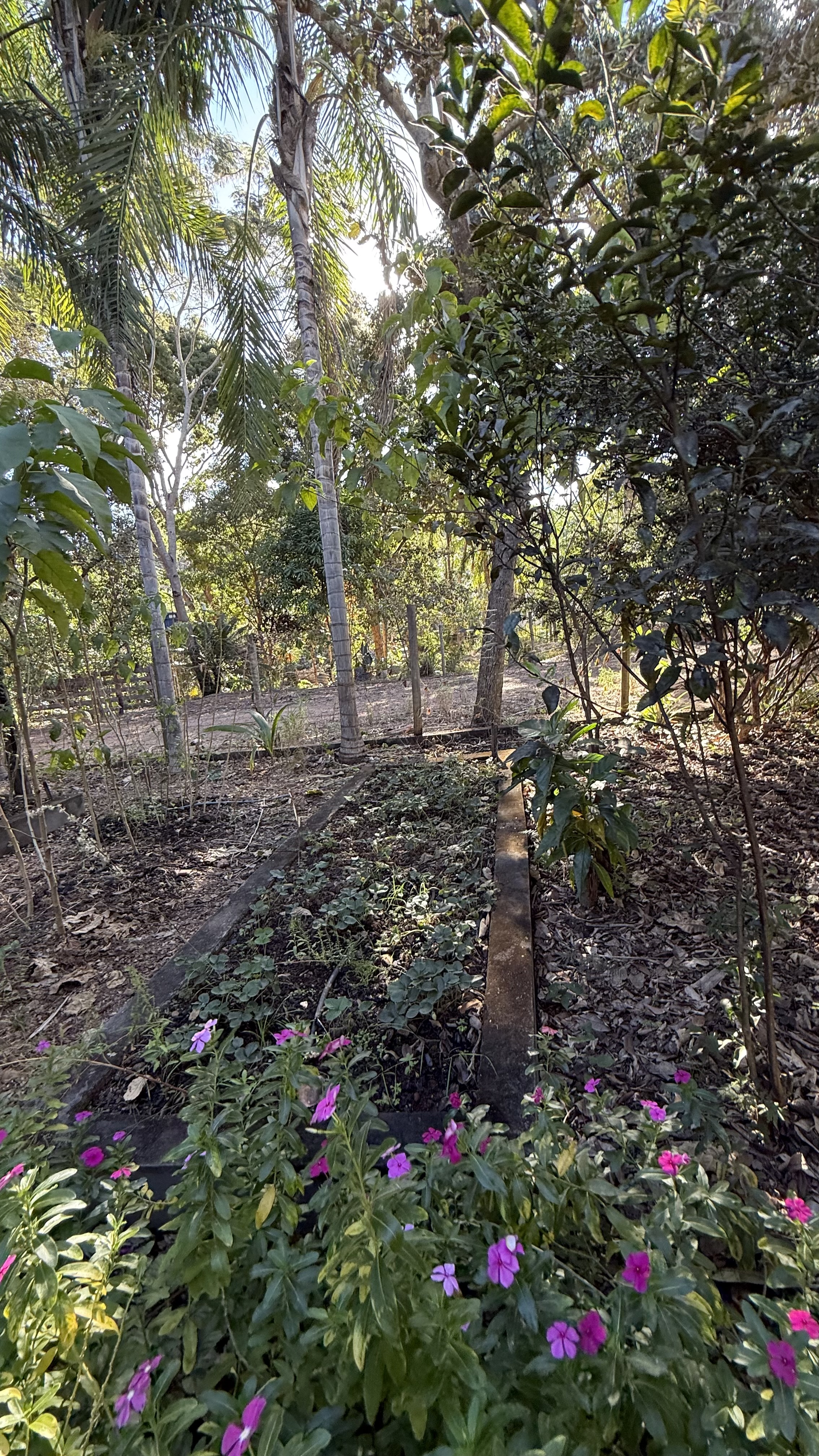 OPORTUNIDADE RARÍSSIMA ÀS MARGENS DO LAGO CORUMBÁ 🌿 - foto 57