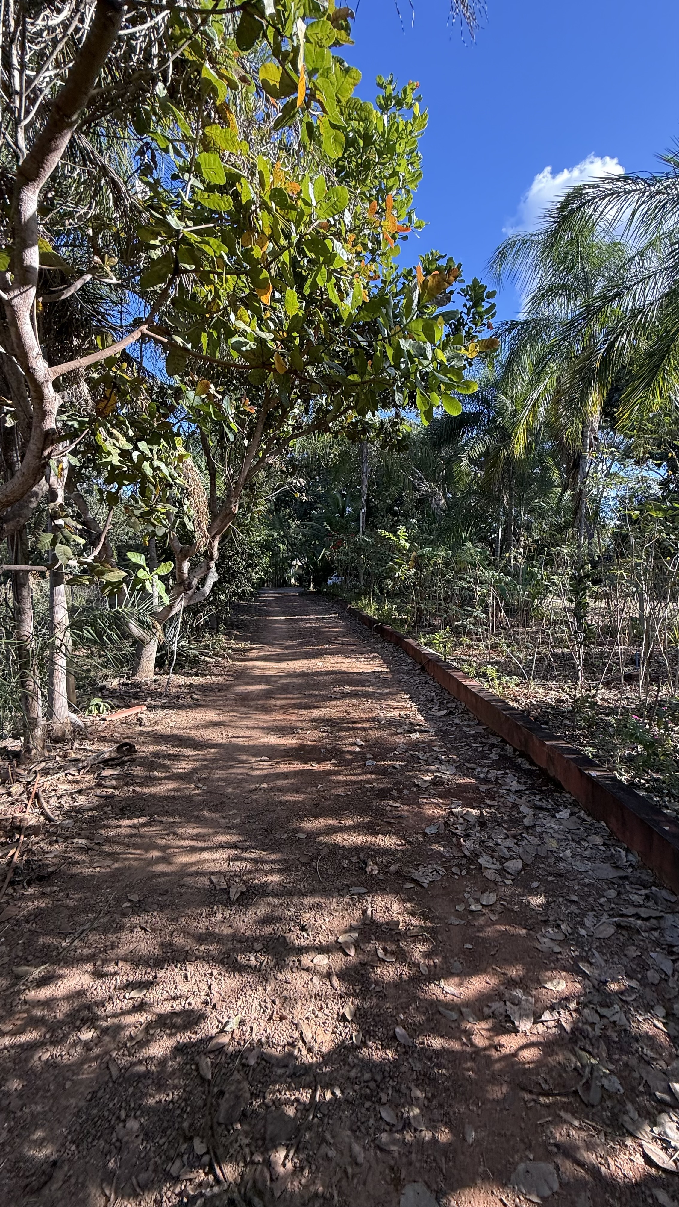 OPORTUNIDADE RARÍSSIMA ÀS MARGENS DO LAGO CORUMBÁ 🌿 - foto 60