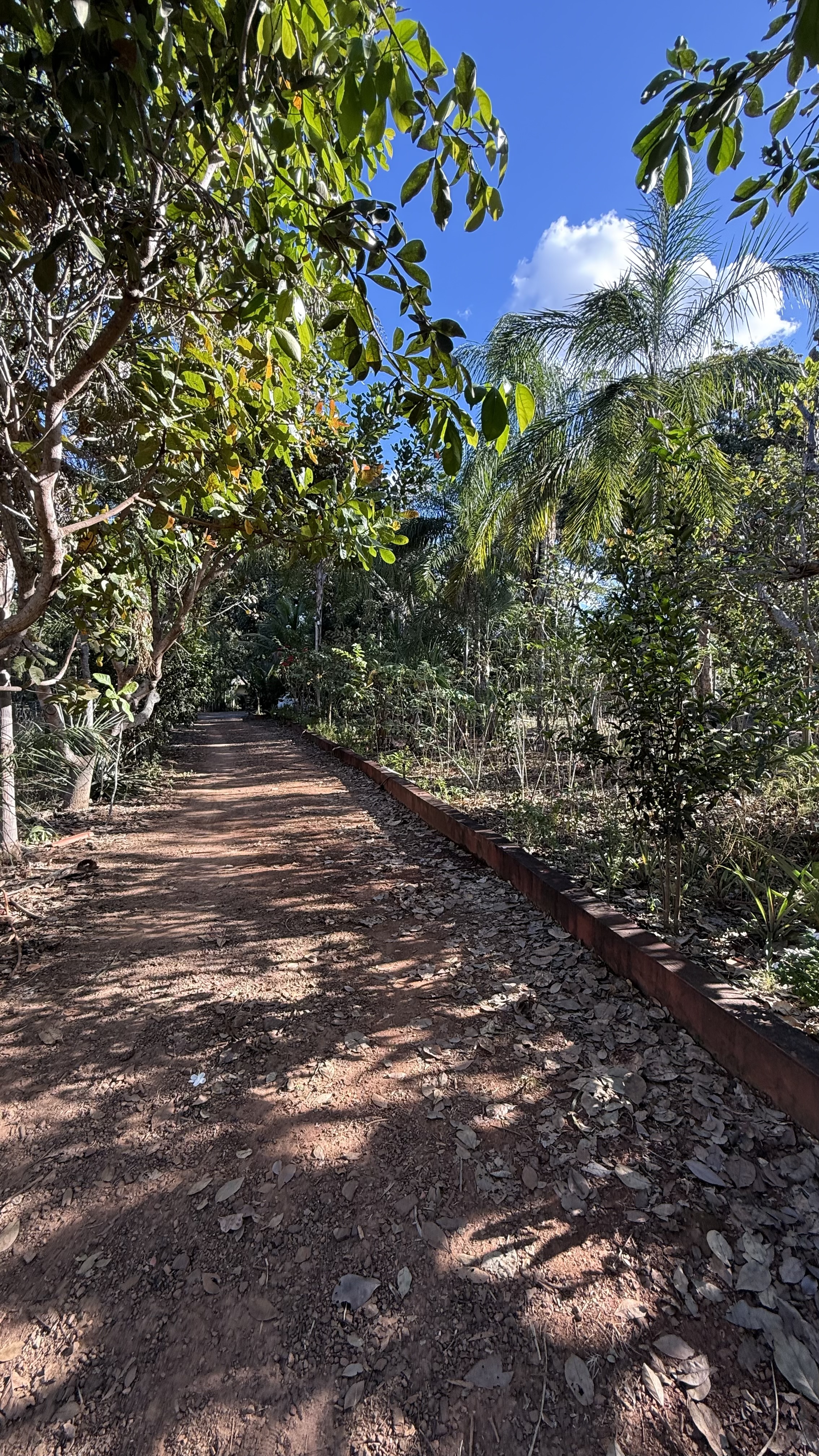 OPORTUNIDADE RARÍSSIMA ÀS MARGENS DO LAGO CORUMBÁ 🌿 - foto 63