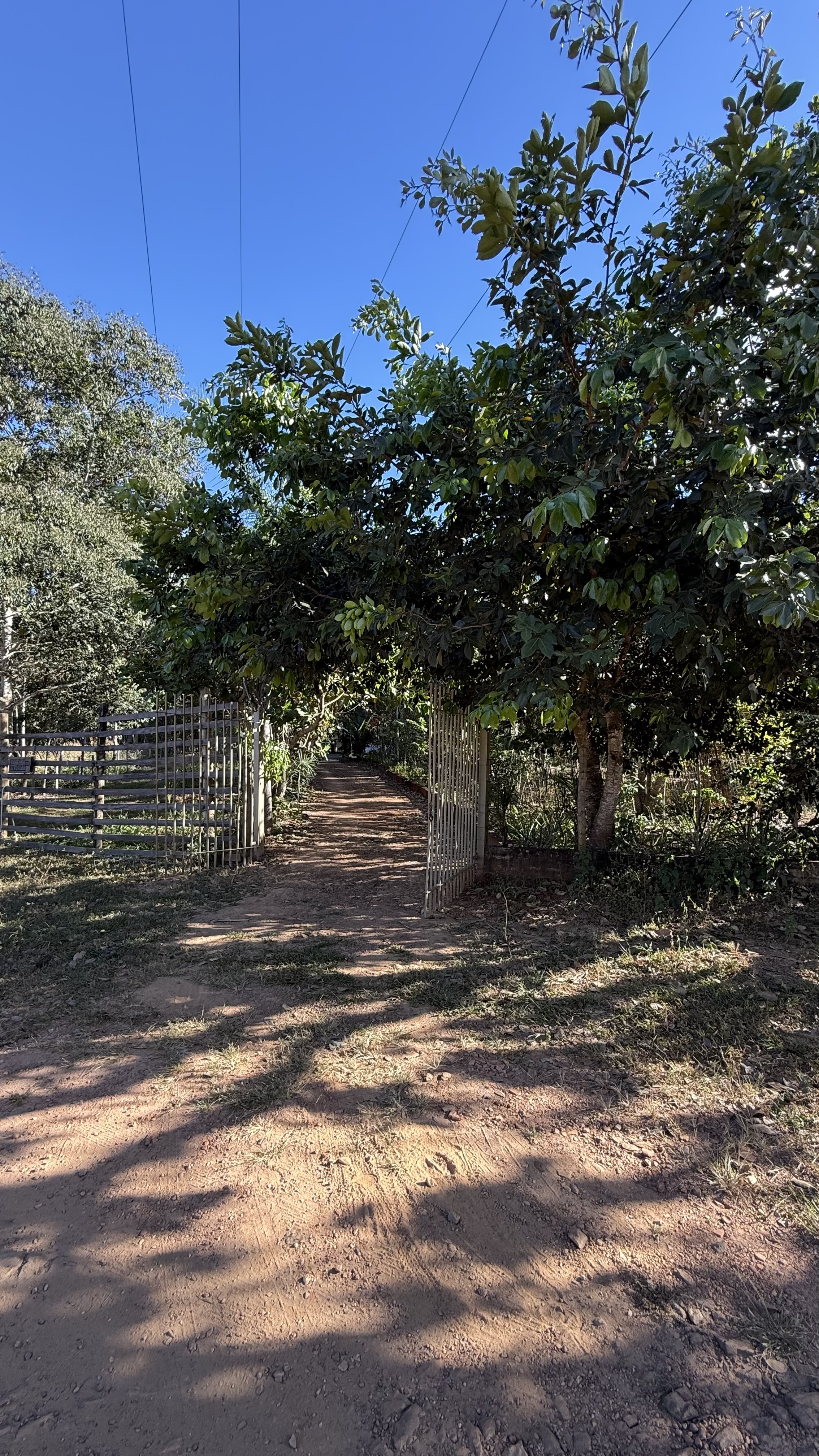 OPORTUNIDADE RARÍSSIMA ÀS MARGENS DO LAGO CORUMBÁ 🌿 - foto 64