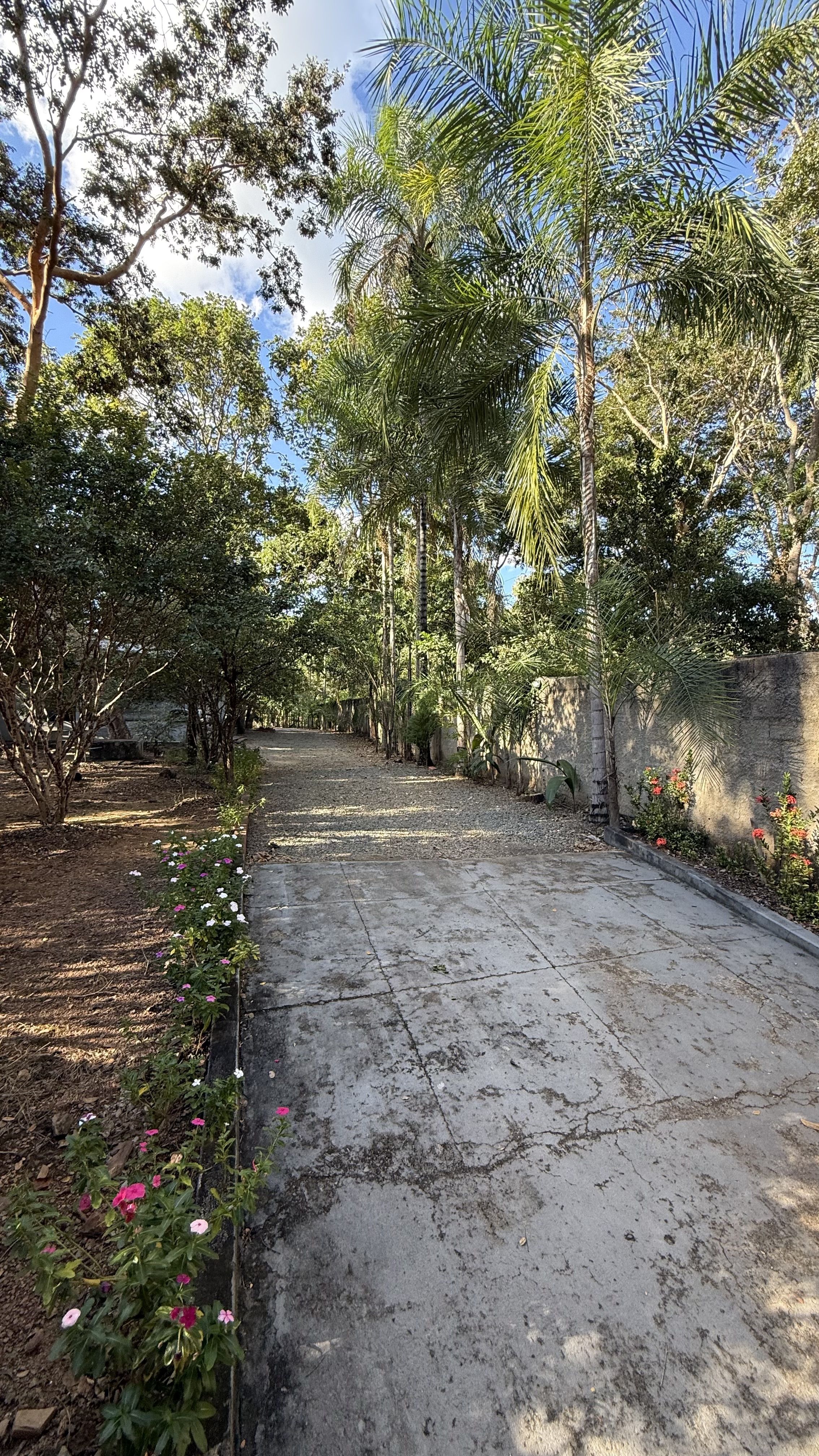 OPORTUNIDADE RARÍSSIMA ÀS MARGENS DO LAGO CORUMBÁ 🌿 - foto 66