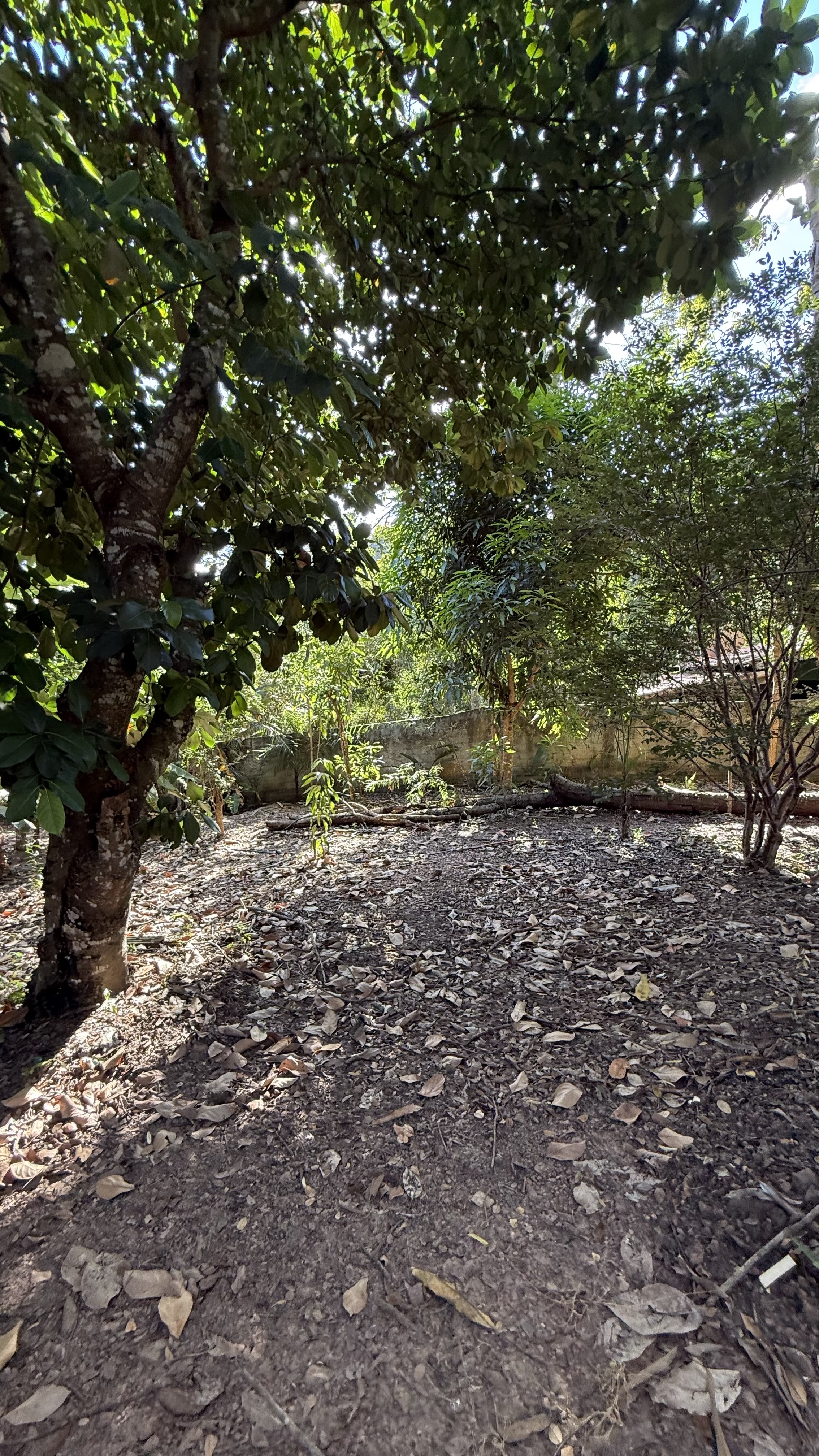 OPORTUNIDADE RARÍSSIMA ÀS MARGENS DO LAGO CORUMBÁ 🌿 - foto 67