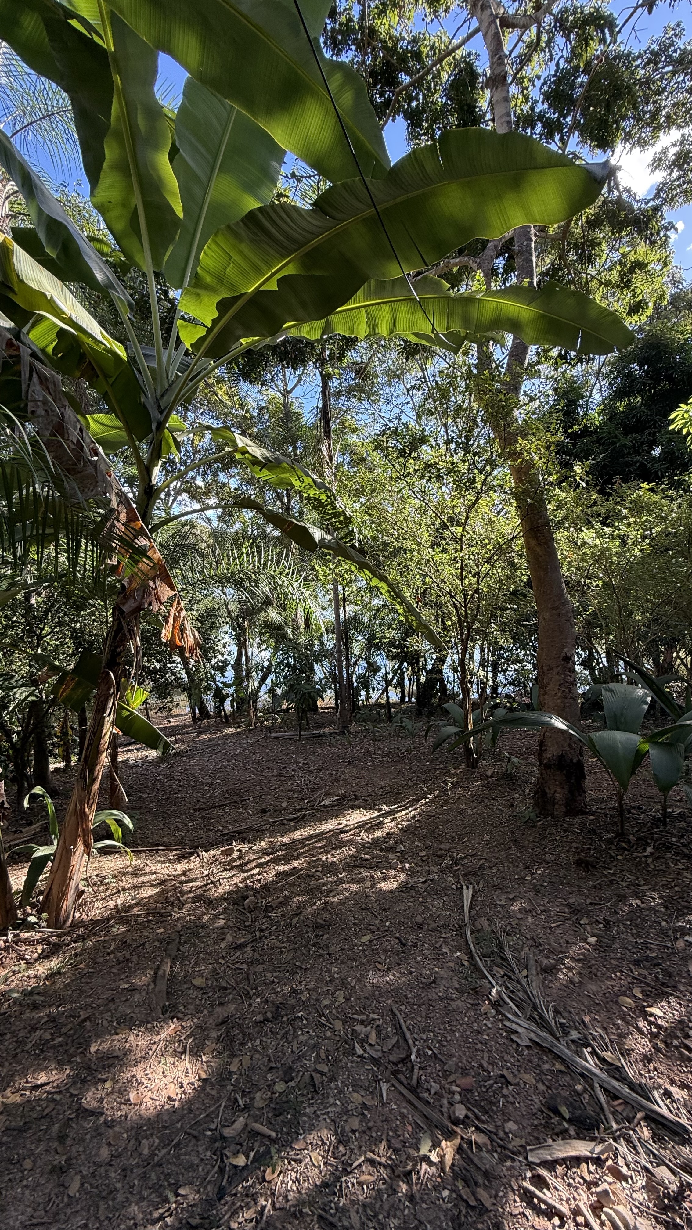 OPORTUNIDADE RARÍSSIMA ÀS MARGENS DO LAGO CORUMBÁ 🌿 - foto 69