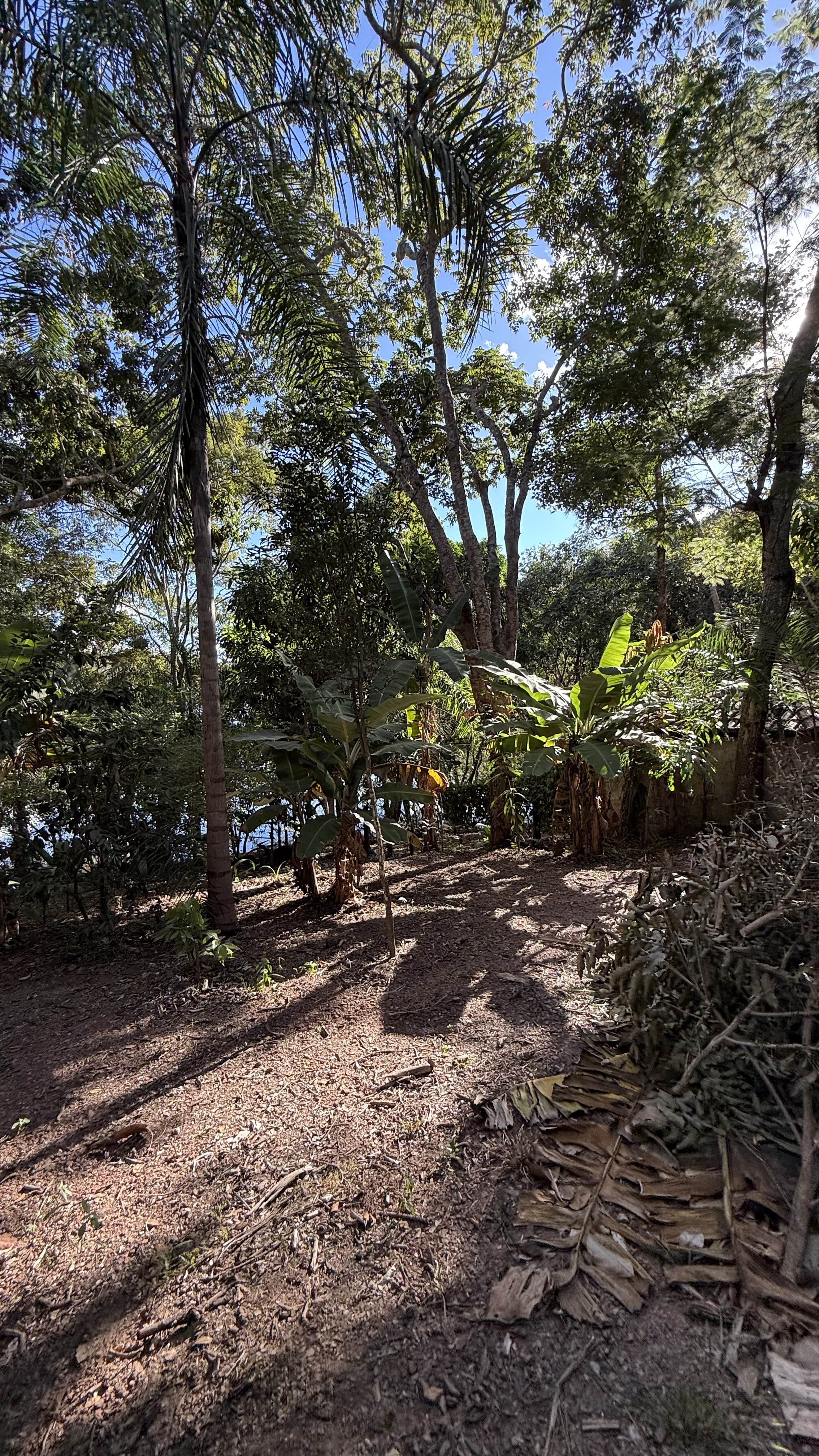 OPORTUNIDADE RARÍSSIMA ÀS MARGENS DO LAGO CORUMBÁ 🌿 - foto 70