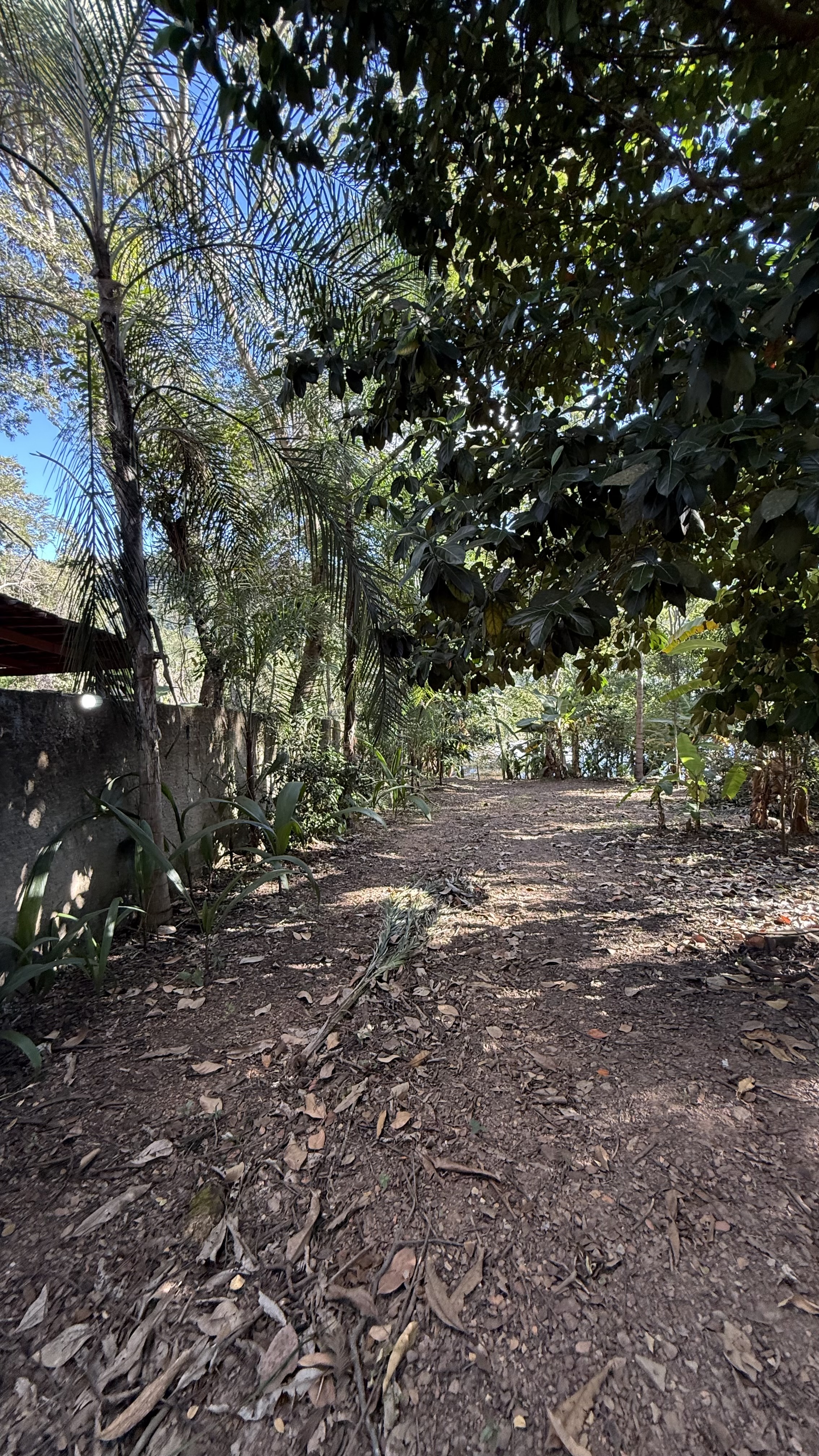 OPORTUNIDADE RARÍSSIMA ÀS MARGENS DO LAGO CORUMBÁ 🌿 - foto 71