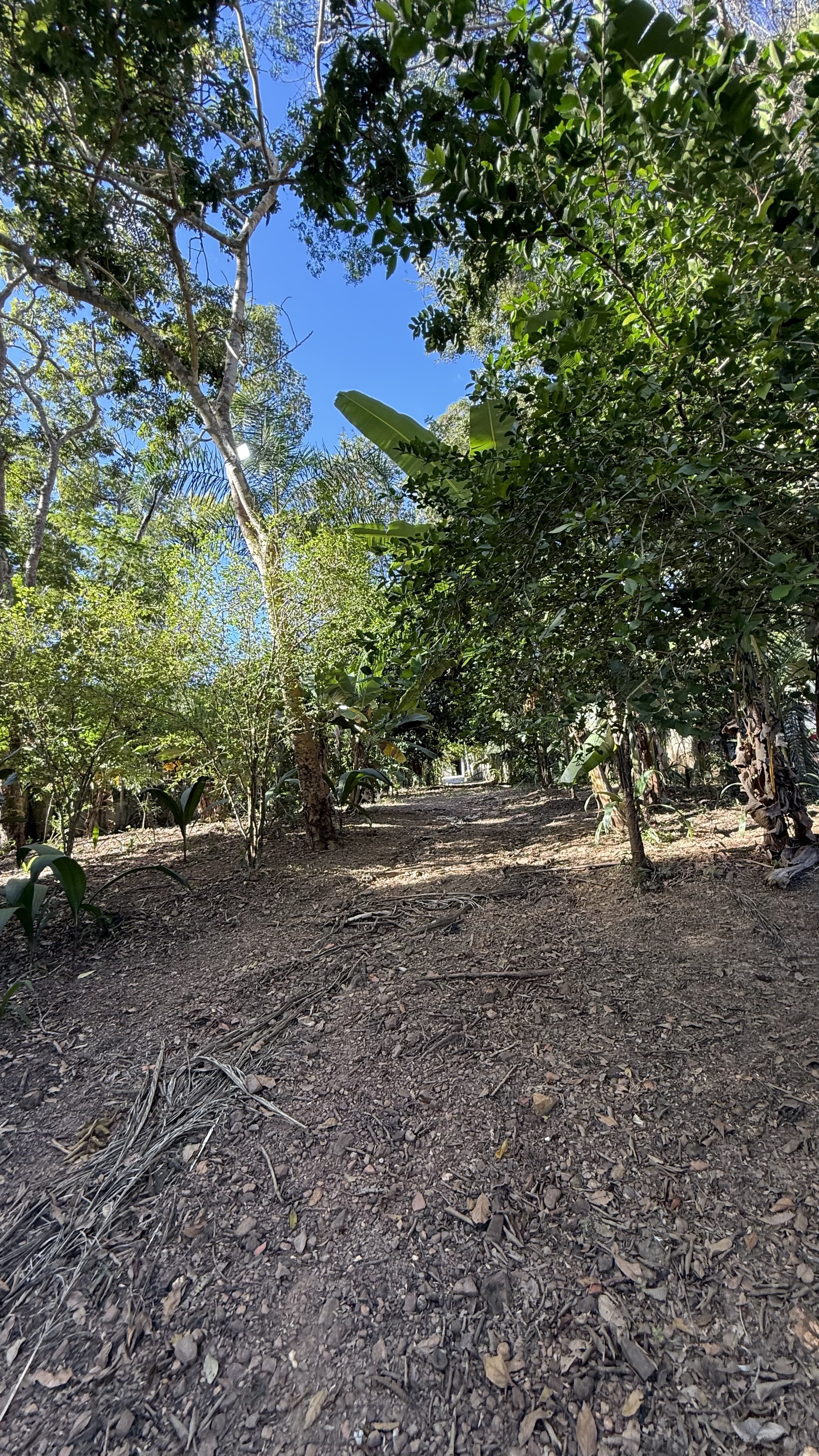 OPORTUNIDADE RARÍSSIMA ÀS MARGENS DO LAGO CORUMBÁ 🌿 - foto 75