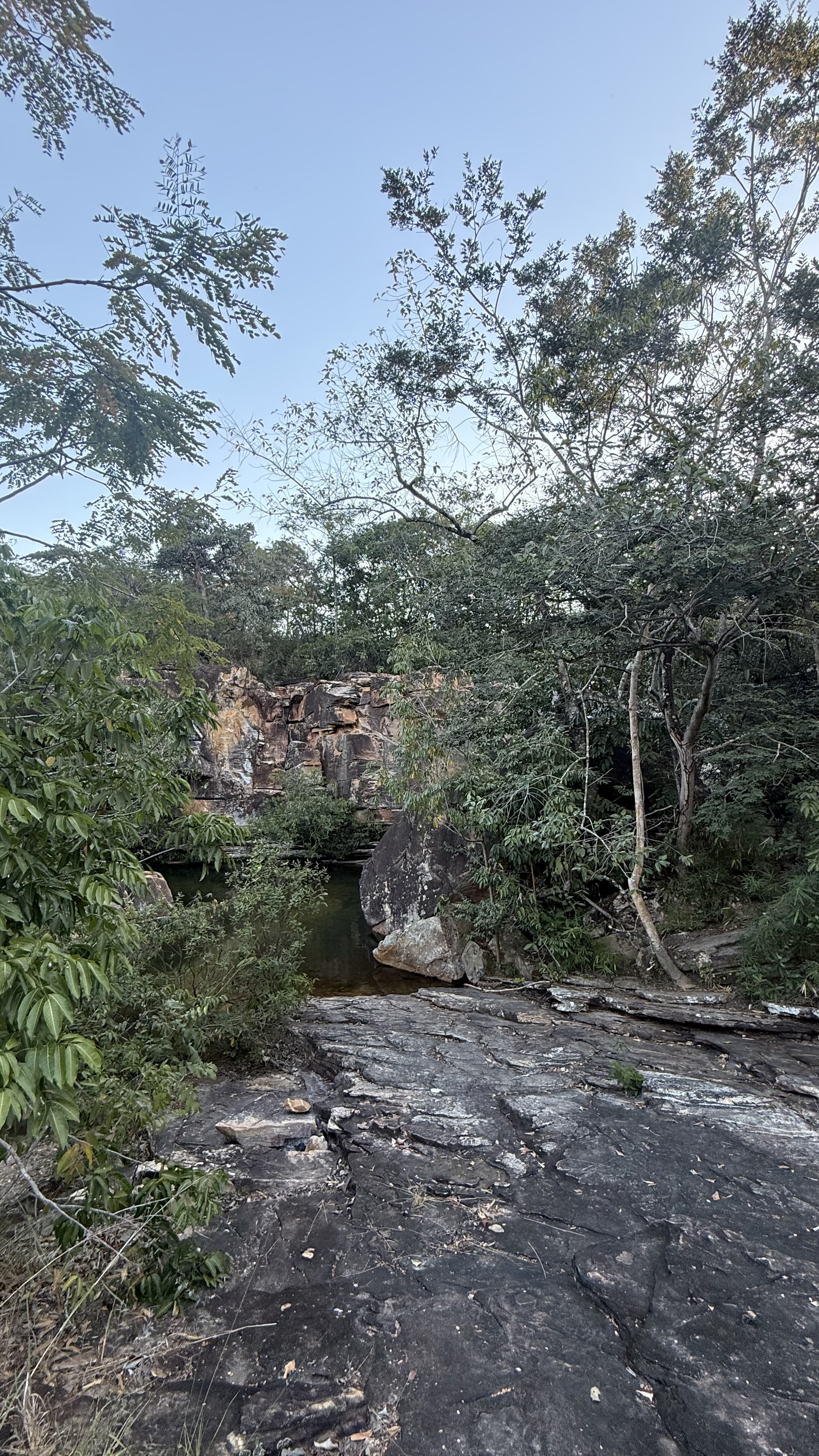 OPORTUNIDADE RARÍSSIMA ÀS MARGENS DO LAGO CORUMBÁ 🌿 - foto 87