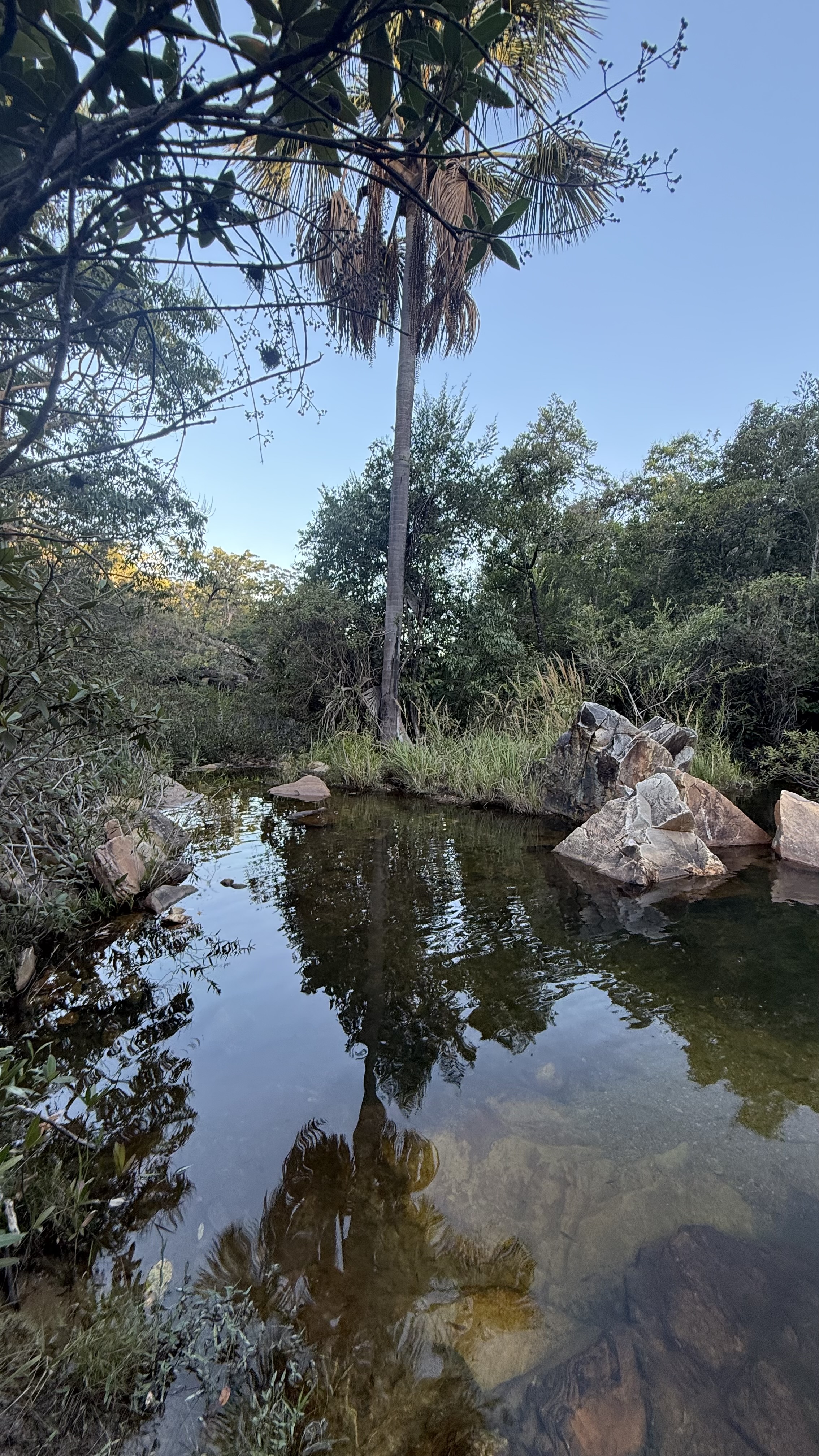 OPORTUNIDADE RARÍSSIMA ÀS MARGENS DO LAGO CORUMBÁ 🌿 - foto 88